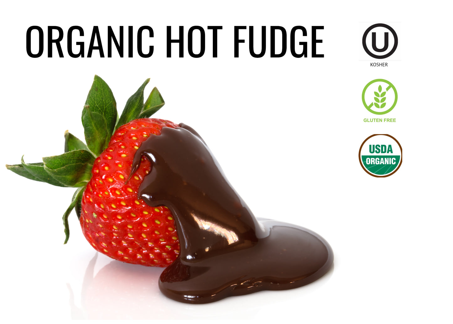 Organic Hot Fudge Sauce