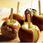 Apple Dipping Caramel  -     5lbs (About 1/2 Gallon)  Call for  Wholesale Pricing